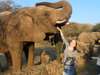 Monique Tolken - meeting elephants in Pilanesberg National Park